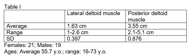 Table 1 - Lateral and posterior deltoid muscle measurements