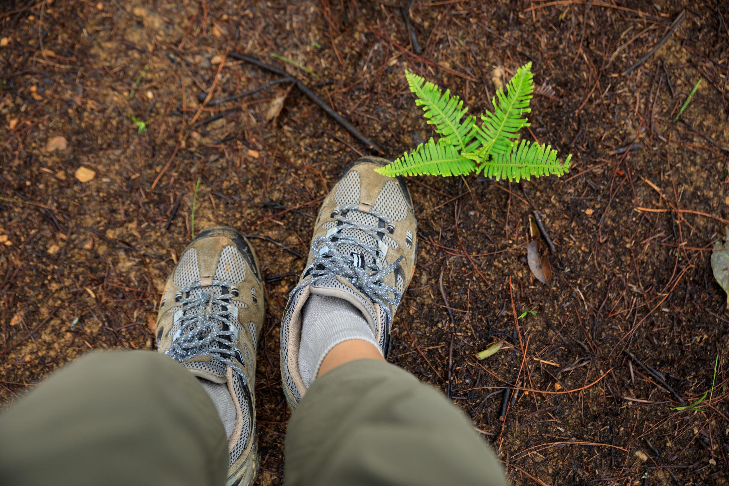 Teleradiology: A Smaller Footprint, Smarter Imaging Model